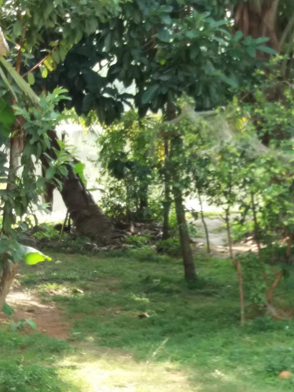 Ishitha Homestay Tangalle Buitenkant foto