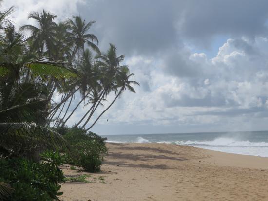 Ishitha Homestay Tangalle Buitenkant foto